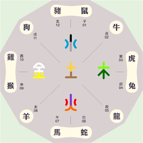 辰字五行|辰字五行中属什么